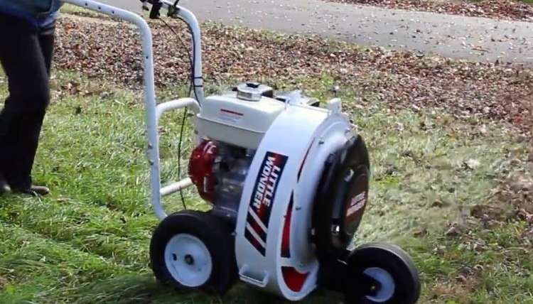 Push Leaf Blower